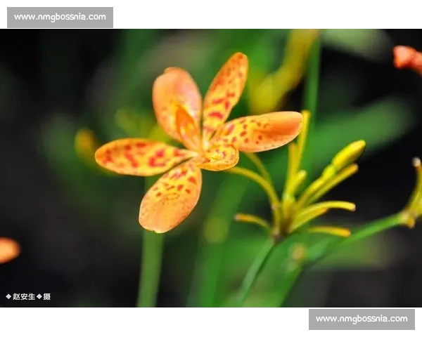 走进世界杯“秘密花园”，场馆的美景超乎想象！