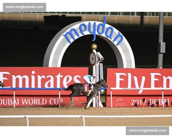 全球瞩目！这场羽毛球赛事，汇聚了全世界的目光！