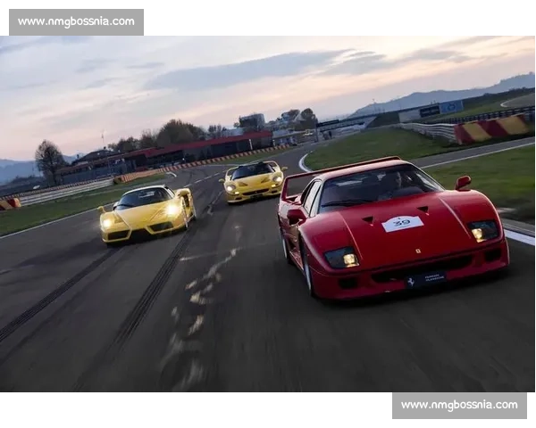 引擎轰鸣中的情感！车手们赛道上的爱恨情仇